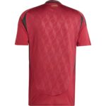 24/25 Belgium Home Jersey - Image 2