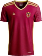 24/25 Venezuela Home Jersey